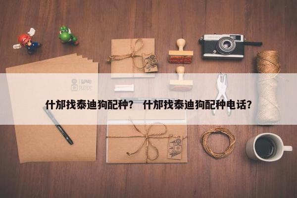 什邡找泰迪狗配种? 什邡找泰迪狗配种电话?