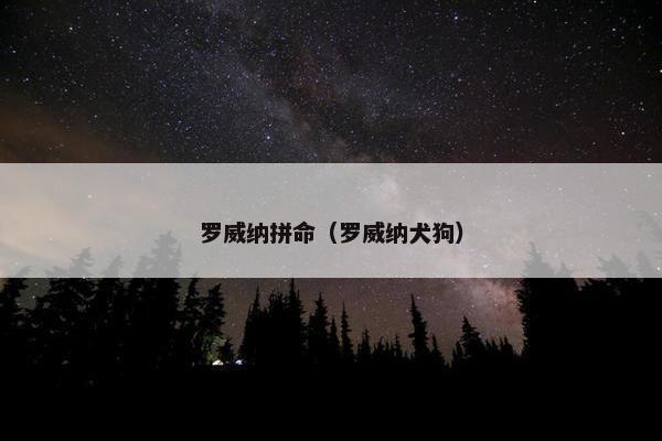 罗威纳拼命（罗威纳犬狗）