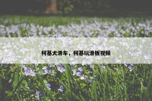 柯基犬滑车，柯基玩滑板视频