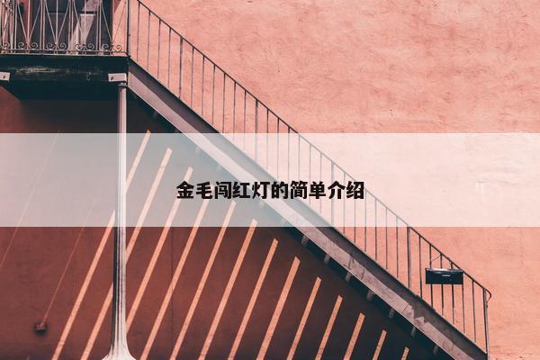 金毛闯红灯的简单介绍