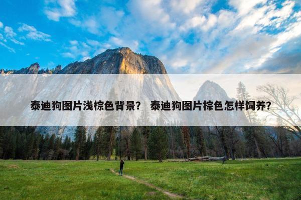 泰迪狗图片浅棕色背景? 泰迪狗图片棕色怎样饲养?