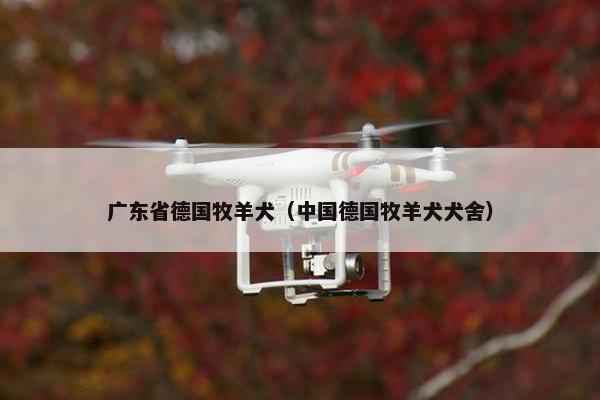 广东省德国牧羊犬（中国德国牧羊犬犬舍）