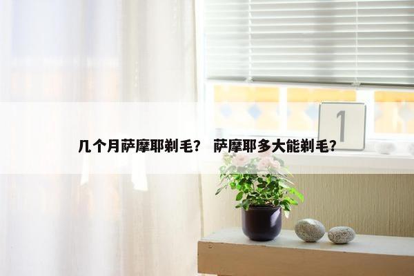 几个月萨摩耶剃毛？ 萨摩耶多大能剃毛？