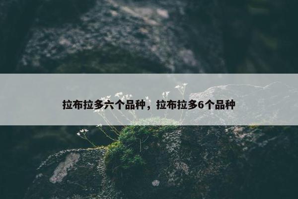 拉布拉多六个品种,拉布拉多6个品种