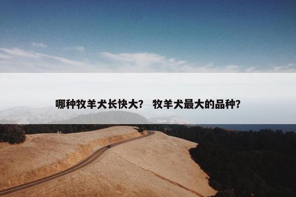 哪种牧羊犬长快大？ 牧羊犬最大的品种？