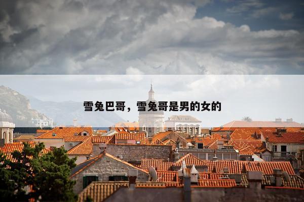 雪兔巴哥,雪兔哥是男的女的