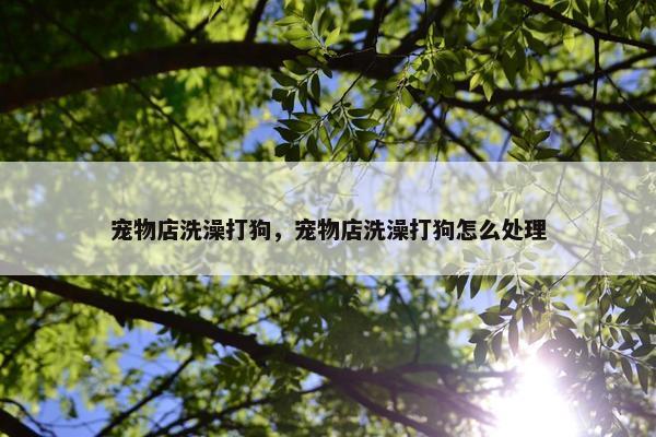 宠物店洗澡打狗，宠物店洗澡打狗怎么处理