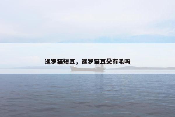暹罗猫短耳，暹罗猫耳朵有毛吗