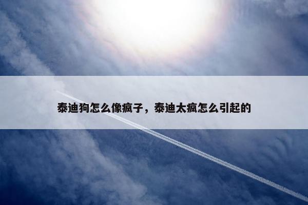 泰迪狗怎么像疯子,泰迪太疯怎么引起的