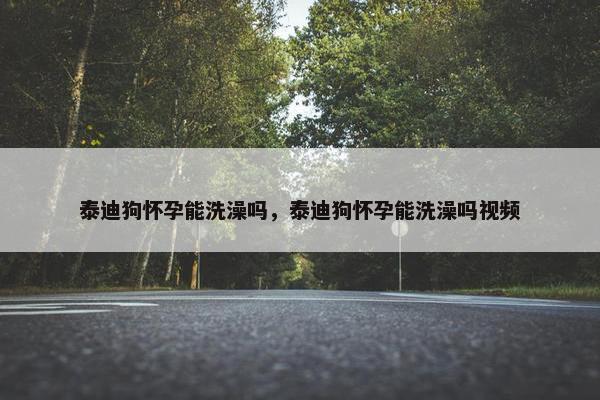 泰迪狗怀孕能洗澡吗,泰迪狗怀孕能洗澡吗视频