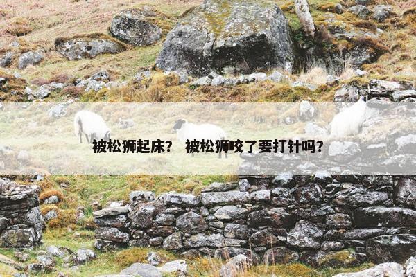 被松狮起床？ 被松狮咬了要打针吗？