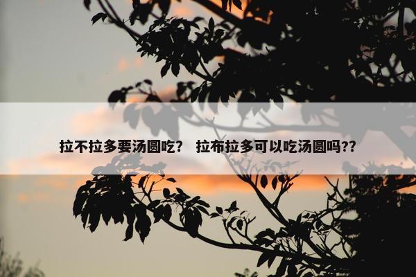 拉不拉多要汤圆吃？ 拉布拉多可以吃汤圆吗?？