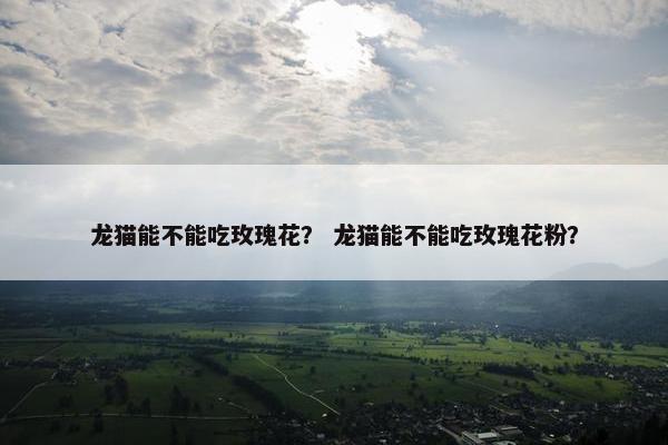 龙猫能不能吃玫瑰花？ 龙猫能不能吃玫瑰花粉？
