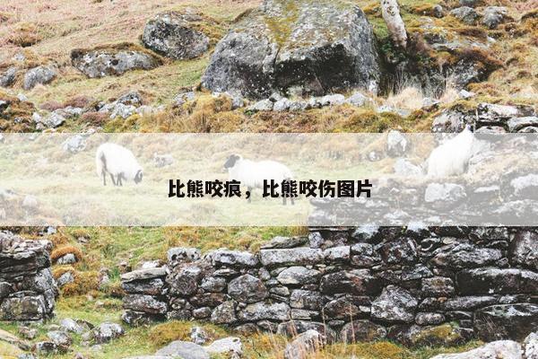 比熊咬痕，比熊咬伤图片