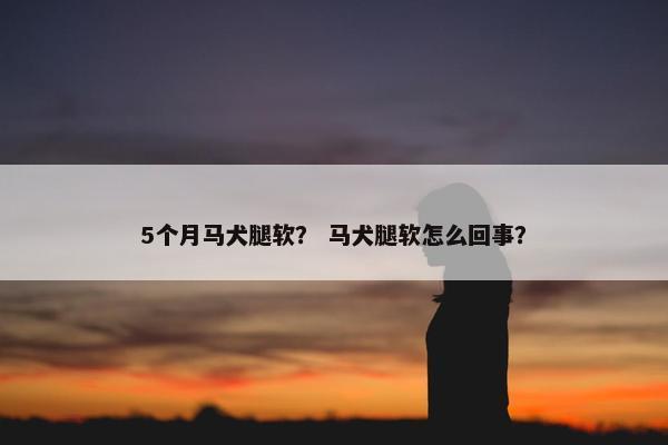 5个月马犬腿软？ 马犬腿软怎么回事？