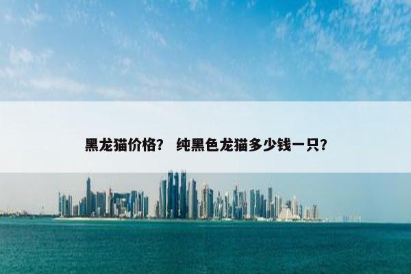 黑龙猫价格？ 纯黑色龙猫多少钱一只？