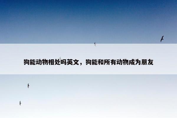 狗能动物相处吗英文，狗能和所有动物成为朋友
