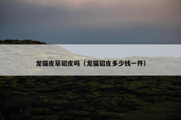 龙猫皮草貂皮吗（龙猫貂皮多少钱一件）