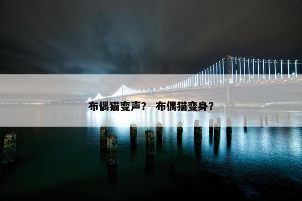 布偶猫变声？ 布偶猫变身？