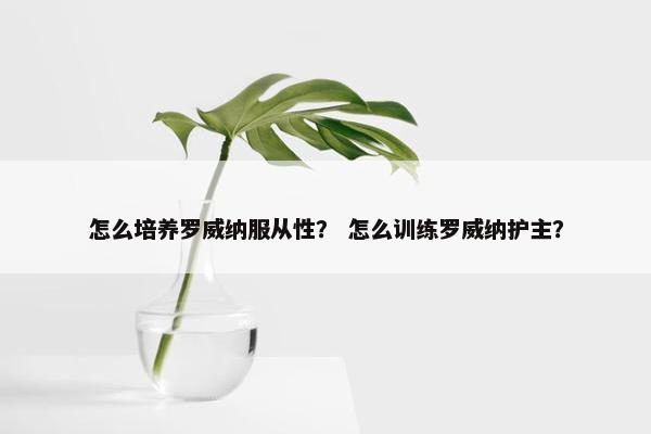 怎么培养罗威纳服从性？ 怎么训练罗威纳护主？