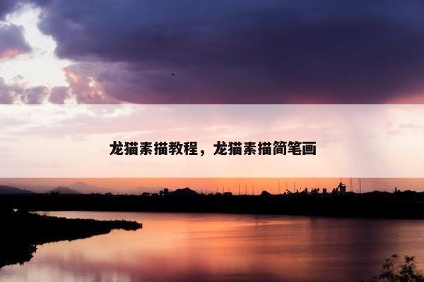 龙猫素描教程，龙猫素描简笔画