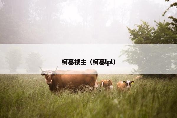 柯基楼主（柯基lpl）