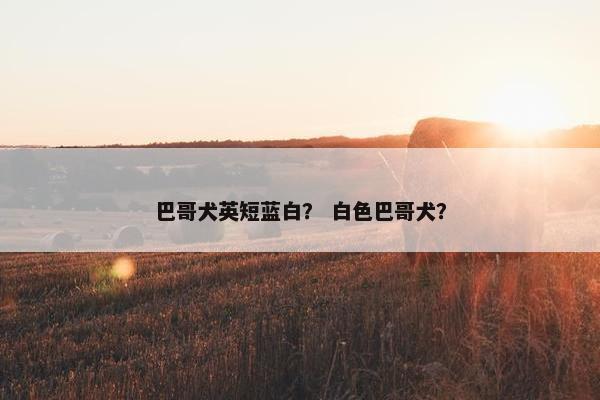 巴哥犬英短蓝白？ 白色巴哥犬？