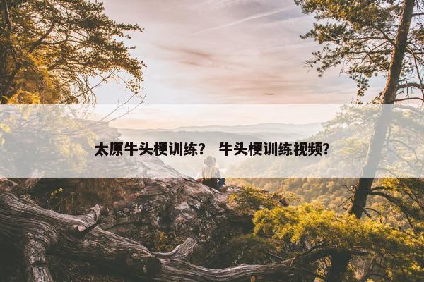太原牛头梗训练？ 牛头梗训练视频？