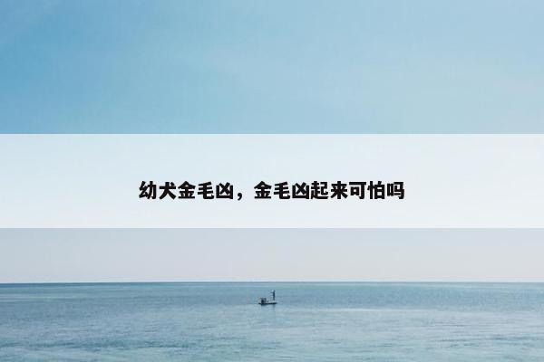 幼犬金毛凶,金毛凶起来可怕吗 幼犬金毛凶,金毛凶起来可怕吗