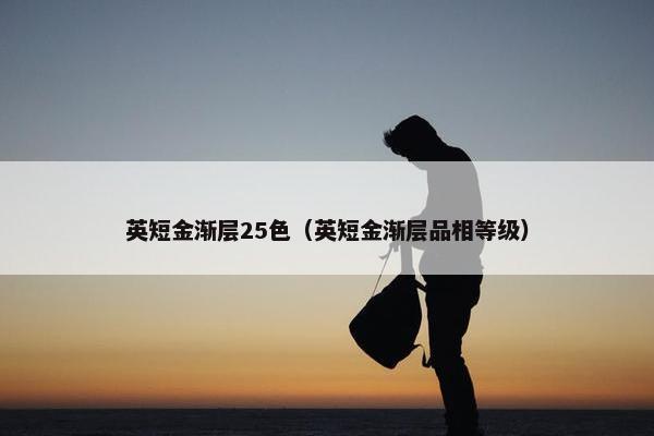 英短金渐层25色（英短金渐层品相等级）