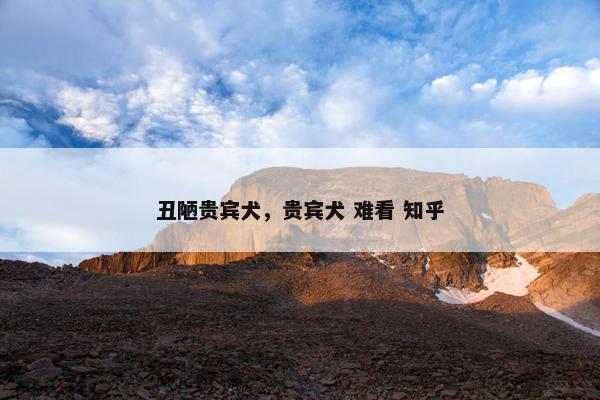 丑陋贵宾犬，贵宾犬 难看 知乎