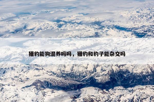 猎豹能狗混养吗吗,猎豹和豹子能杂交吗 猎豹能狗混养吗吗,猎豹和豹子能杂交吗