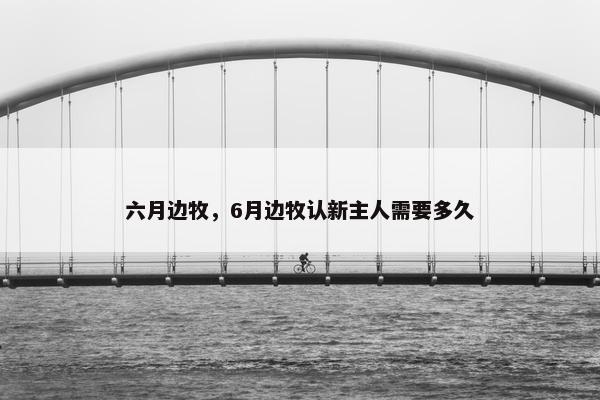 六月边牧，6月边牧认新主人需要多久