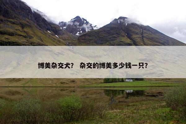 博美杂交犬？ 杂交的博美多少钱一只？