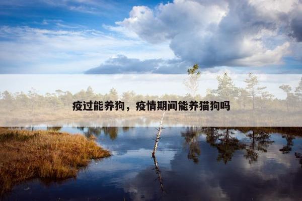 疫过能养狗，疫情期间能养猫狗吗
