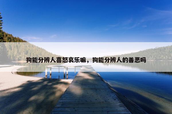 狗能分辨人喜怒哀乐嘛，狗能分辨人的善恶吗