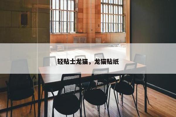 轻贴士龙猫，龙猫贴纸