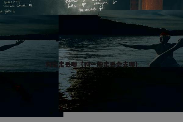 狗能走丢哪（狗一般走丢会去哪）