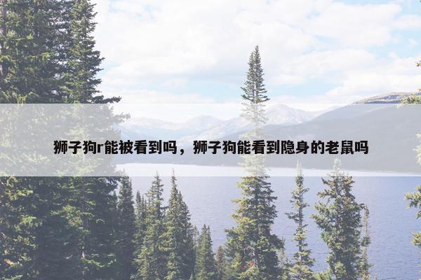狮子狗r能被看到吗，狮子狗能看到隐身的老鼠吗