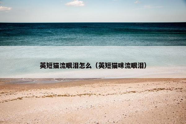 英短猫流眼泪怎么（英短猫咪流眼泪）