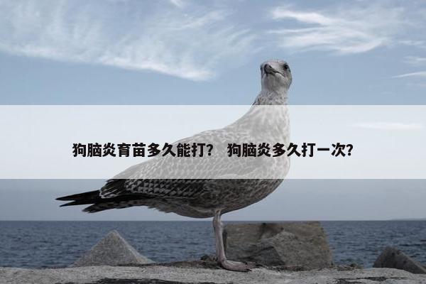 狗脑炎育苗多久能打？ 狗脑炎多久打一次？