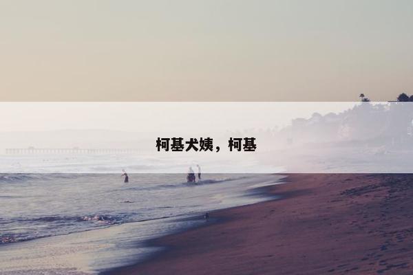 柯基犬姨，柯基