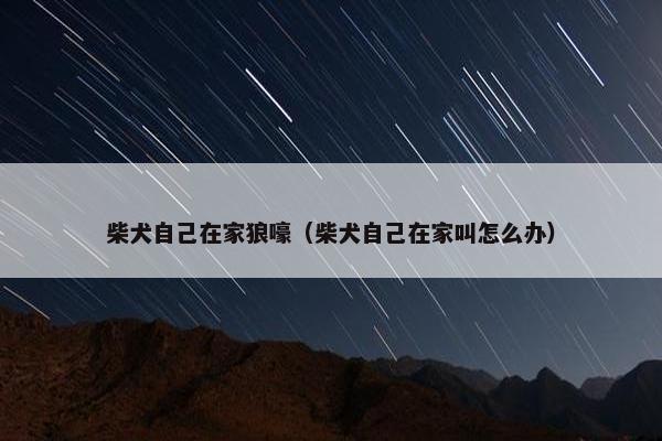 柴犬自己在家狼嚎（柴犬自己在家叫怎么办）