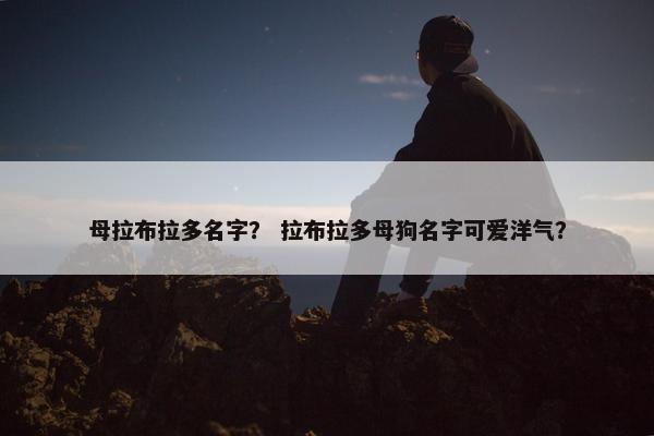 母拉布拉多名字? 拉布拉多母狗名字可爱洋气? 母拉布拉多名字? 拉布拉多母狗名字可爱洋气?