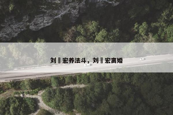 刘畊宏养法斗,刘畊宏离婚