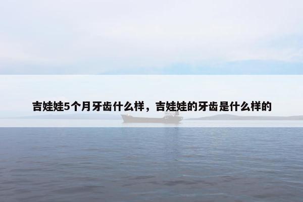吉娃娃5个月牙齿什么样,吉娃娃的牙齿是什么样的