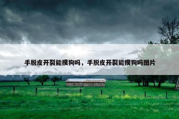 手脱皮开裂能摸狗吗,手脱皮开裂能摸狗吗图片