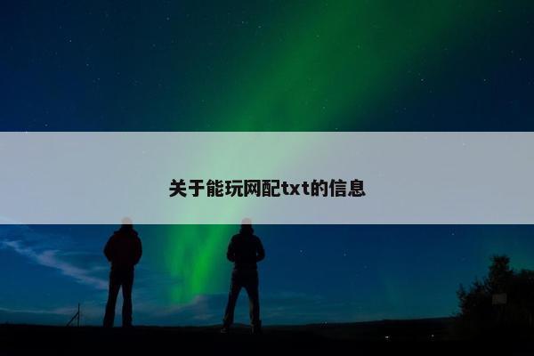 关于能玩网配txt的信息