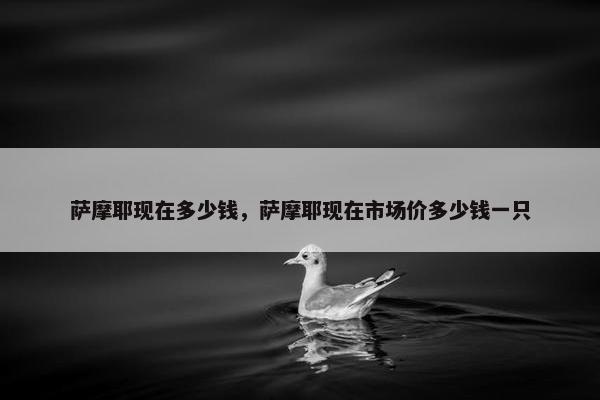 萨摩耶现在多少钱，萨摩耶现在市场价多少钱一只