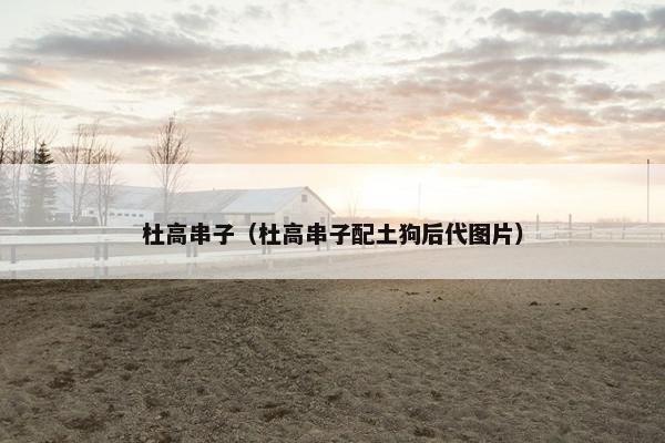 杜高串子（杜高串子配土狗后代图片）